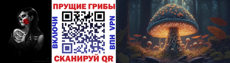 Галлюциногенные грибы Cubensis  Абдулино 